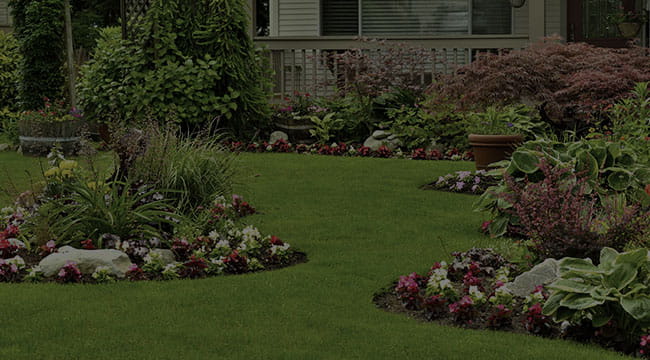 Miami Landscaping Lawn Care And Mulching, Landscaping Company Miami